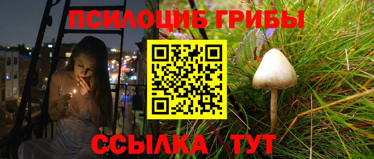 Псилоцибиновые грибы GOLDEN TEACHER  Вход с VPN  Десногорск 